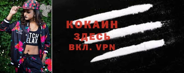 трава Ельня
