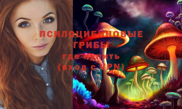 трава Ельня