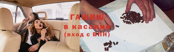 трава Ельня