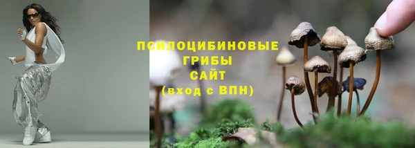 трава Ельня