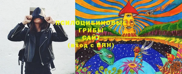 трава Ельня