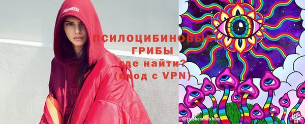 трава Ельня