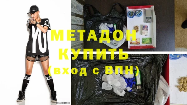трава Ельня