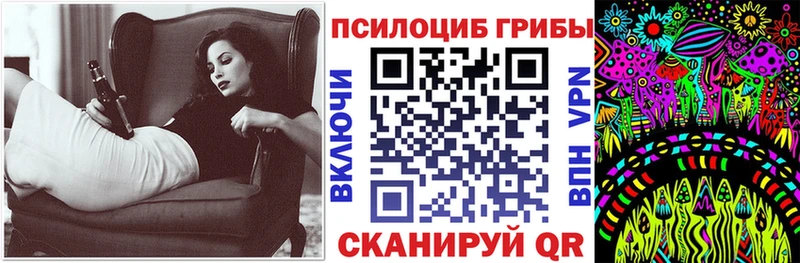 купить закладку  Каргополь  Галлюциногенные грибы мицелий 