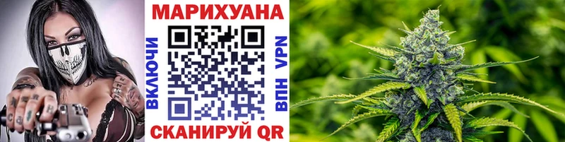наркотики Каргополь omg ссылка Конопля White Widow